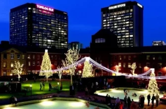 The Ultimate Cold Plunge DC Guide: From Local Hotspots to Professional DIY Setups