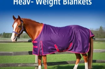 The Comprehensive Guide to Heavy Weight Blankets: From Therapeutic Comfort to Professional Horse Care