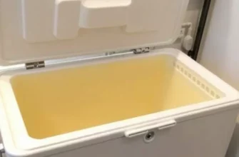 The Evolution of the Chest Freezer Cold Plunge: DIY Hack or Professional Investment?