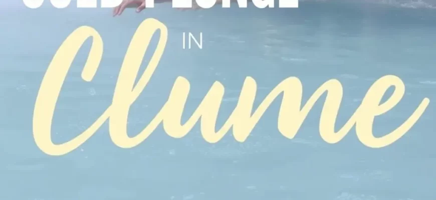 The Ultimate Guide to Cold Plunge in Tampa and Across Florida