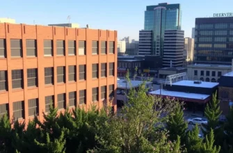 The Ultimate Guide to Cold Plunge Nashville and Premier Recovery Spots Nationwide