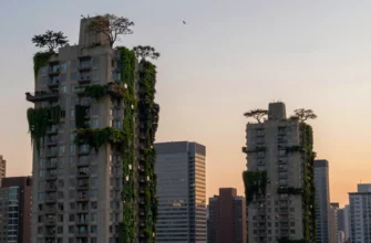 A city skyline at dusk with towering concrete buildings transformed by lush green canopies—vines climbing walls, rooftop gardens blooming, trees sprouting from rooftops, and birds flying between branches, all bathed in warm sunset light, creating a harmonious blend of urban architecture and natural foliage