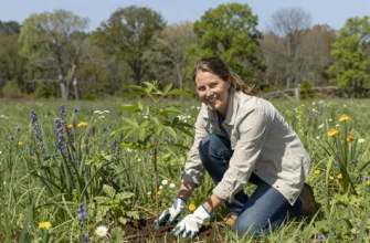 A woman in her early 30s with a friendly smile, wearing a light jacket and gardening gloves, kneeling in a lush, green meadow on Long Island. She is planting a sapling of a native tree, surrounded by a variety of native wildflowers and grasses. In the background, a small, partially restored forest edge with a mix of young trees and shrubs, and a clear blue sky. The scene conveys a sense of renewal and connection to nature.