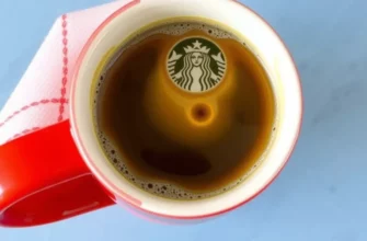 Cold Plunge Coffee Reviews: The Lifestyle, the Business, and the Biohacking Boom