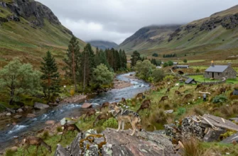 A panoramic view of the Scottish Highlands showcasing rewilding: rolling green hills, a clear blue river winding through a pine forest, a herd of deer grazing near the water, a lone wolf standing on a rocky outcrop overlooking the valley, distant misty mountains, and a small, rustic cottage in the foreground. The scene should capture the wild heart of the Highlands with lush vegetation, wildlife, and natural landscape elements, emphasizing the restoration of natural habitats.