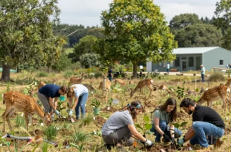 A vibrant, thriving rewilded landscape showing a mix of native trees, grasses, and wildlife such as deer, birds, and insects flourishing together. In the foreground, a small group of volunteers are planting saplings, while a subtle hint of a modern, eco‑friendly research station blends into the natural surroundings, emphasizing the collaborative effort of a rewilding company restoring ecosystems. The scene is bright, hopeful, and full of biodiversity, with no visible text or logos.