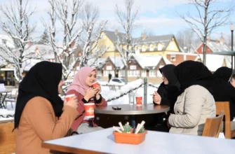 A diverse group of Muslim individuals in modest clothing, including hijabs and light jackets, enjoying a snowy Swedish winter scene with a backdrop of a charming Swedish town, sipping coffee at a cozy outdoor café, with snow-covered trees and a clear blue sky