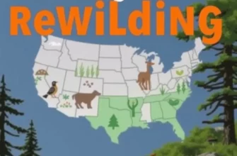 Rewilding in the US: Restoring Ecological Health to the American Landscape