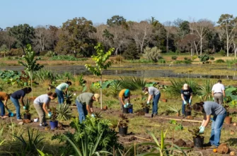 A vibrant and lush landscape showcasing various stages of nature restoration. In the foreground, a diverse array of native plants and young trees being planted by volunteers. The midground features a thriving wetland with birds and other wildlife returning to the area. The background displays a restored forest with mature trees and a clear blue sky. The scene is bustling with activity, highlighting the collaborative effort of people working together to restore the natural ecosystem.