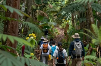 A serene forest path winding through lush greenery, symbolizing ecological restoration, with a diverse array of native plants and wildlife, and a person in outdoor gear gently guiding a group of volunteers along the trail, embodying the role of a rewilding facilitator, soft natural lighting, detailed textures, vibrant colors