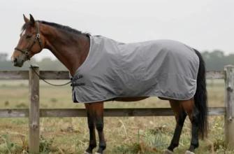 A medium weight horse turnout blanket in a neutral gray color, displayed on a wooden fence in a grassy pasture under soft daylight, with a calm brown horse wearing it comfortably, showing the blanket's durable waterproof fabric, adjustable straps, and tail flap, with subtle stitching details visible, no text or logos on the blanket