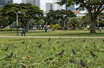 A lush green park with native wildlife like birds and butterflies, symbolizing rewilding in Singapore's urban setting