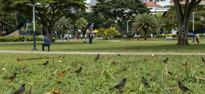 A lush green park with native wildlife like birds and butterflies, symbolizing rewilding in Singapore's urban setting