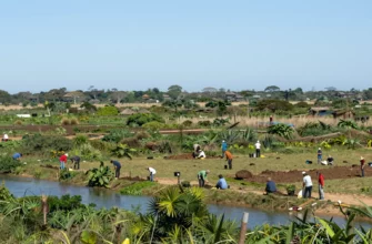 A vast, lush landscape being restored to its natural state, featuring diverse wildlife, native vegetation, and clear waterways, with people actively engaged in ecological restoration activities such as planting trees, removing invasive species, and monitoring ecosystems, all under a bright, hopeful sky