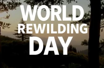 World Rewilding Day: How to Join the Global Movement to Restore Our Wild